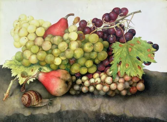 Schnecke mit Trauben und Birnen